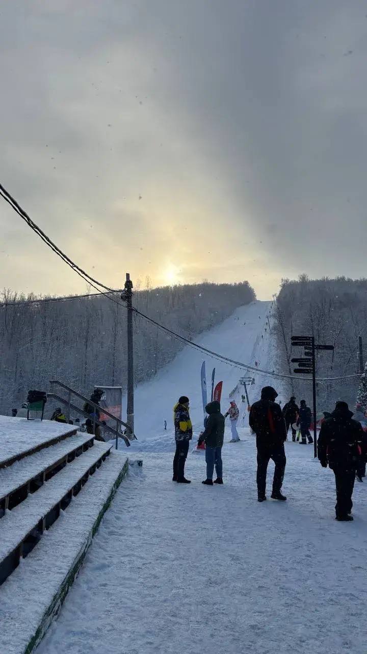 Важные верблюды, дружелюбные олени и милые кролики Важные верблюды, дружелюбные олени и милые кролики