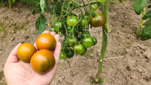 ������ ��� ��������� ������: 15 ������ ������ ��� ������ �������