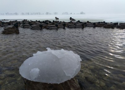 ������ ����, ��������!. �� ��������� 4 ������