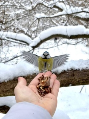 А что у вас сегодня на обед ?