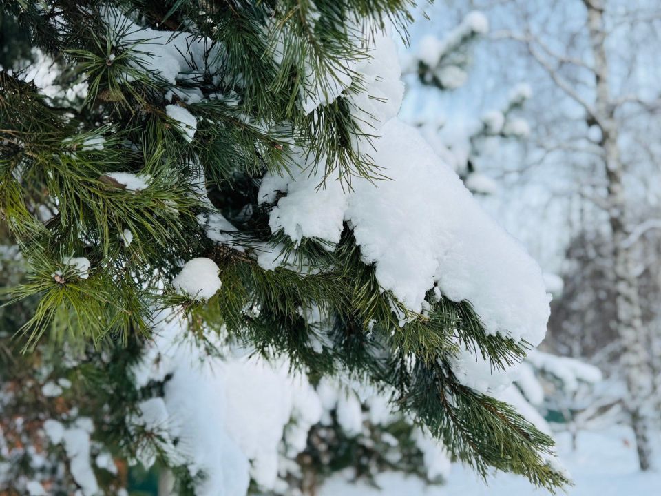 ������ ����, �����������!. ������� ���� ��������� �� -4 �C, ����� ������ 1-2 �/�