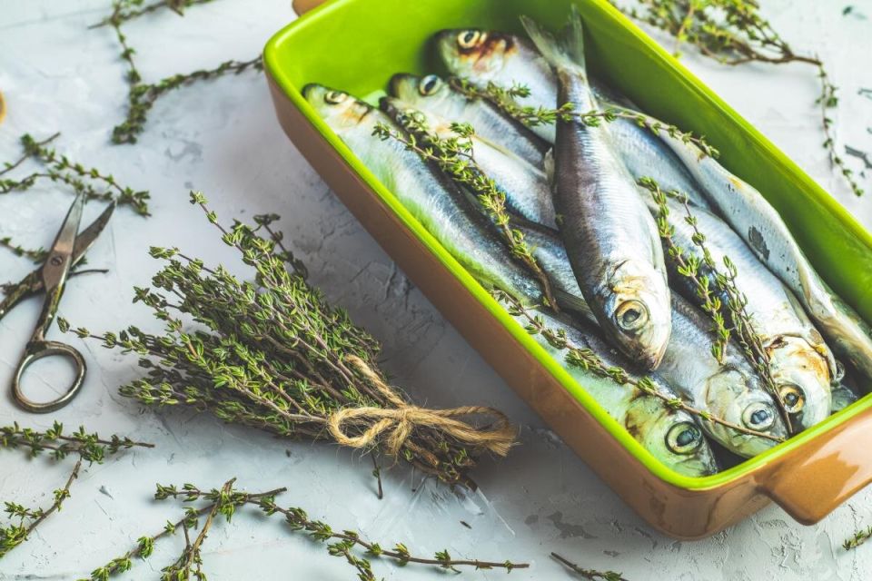 ������ ������� ������ ����� ����� ���������� ��������� � �������