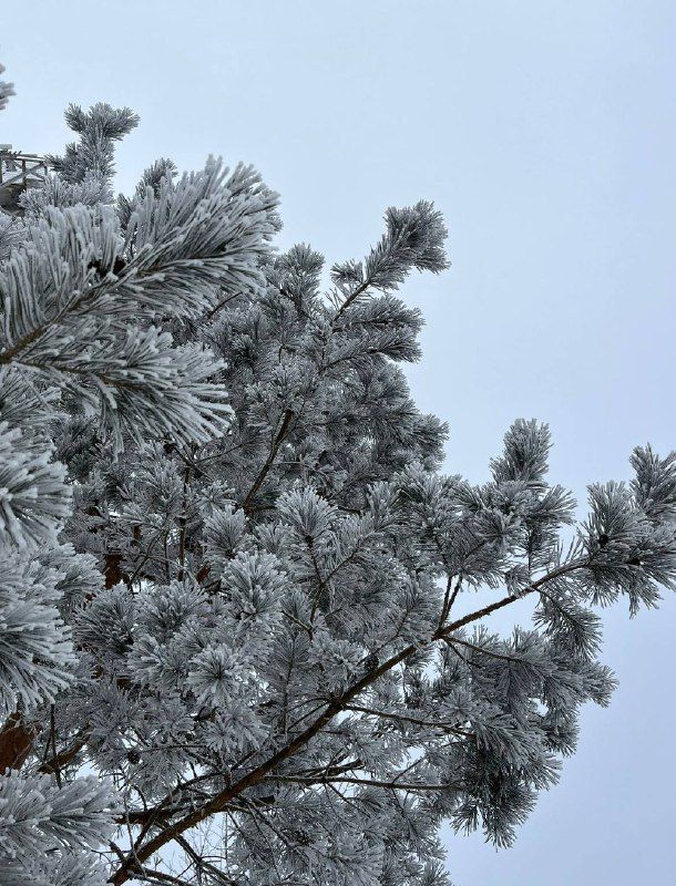 ������ ���� ������� �����!