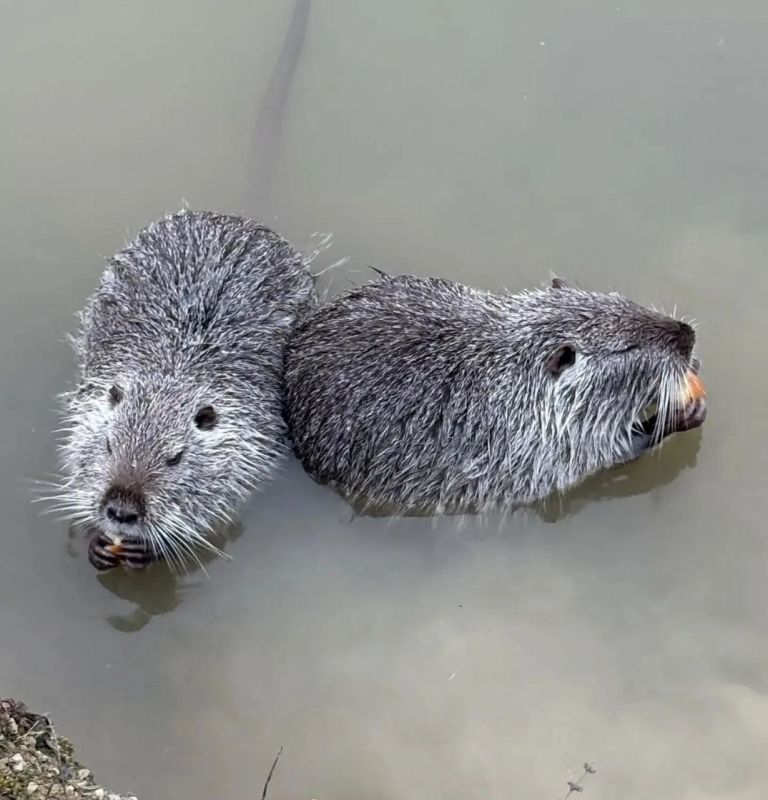 � � ���� � ������ ��������� �����!