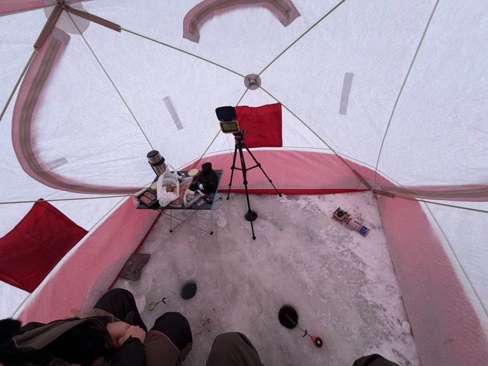 ����� �������� ���� ����� ������� ��� �������� � ���������