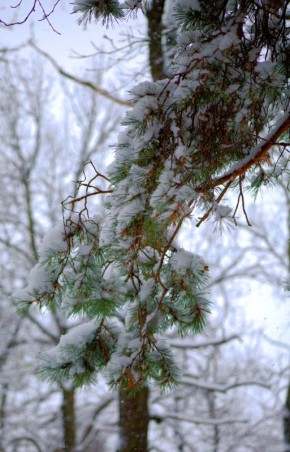 Доброе утро, любимый город!