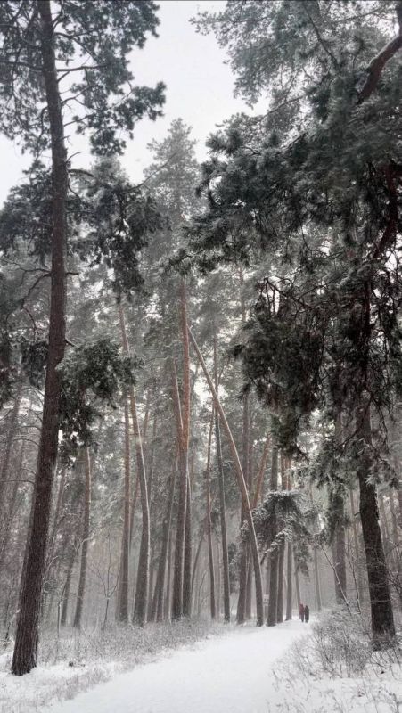 ���� � ������: ������� � ������ �� �������