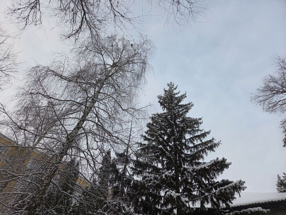 ����� ����� ������� ���� ������ �����, �� ���������� ���� ��������������