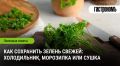 Как продлить жизнь свежей зелени: простые и эффективные методы