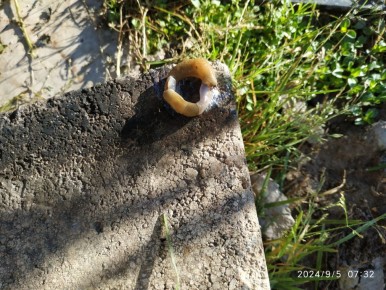 ����������� ������ ������ �� ��������: ������ ���������