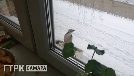 ���������� �������� ����� ��������������� ���������� ��������� ����� � �����, ������� ������ ���� ��������� � � ����