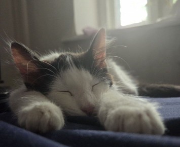 Новогодние каникулы закончились, завтра первый рабочий день