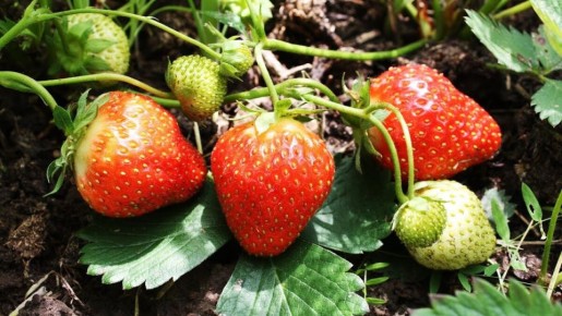 ��� ���������� �������� �������� ��� �����