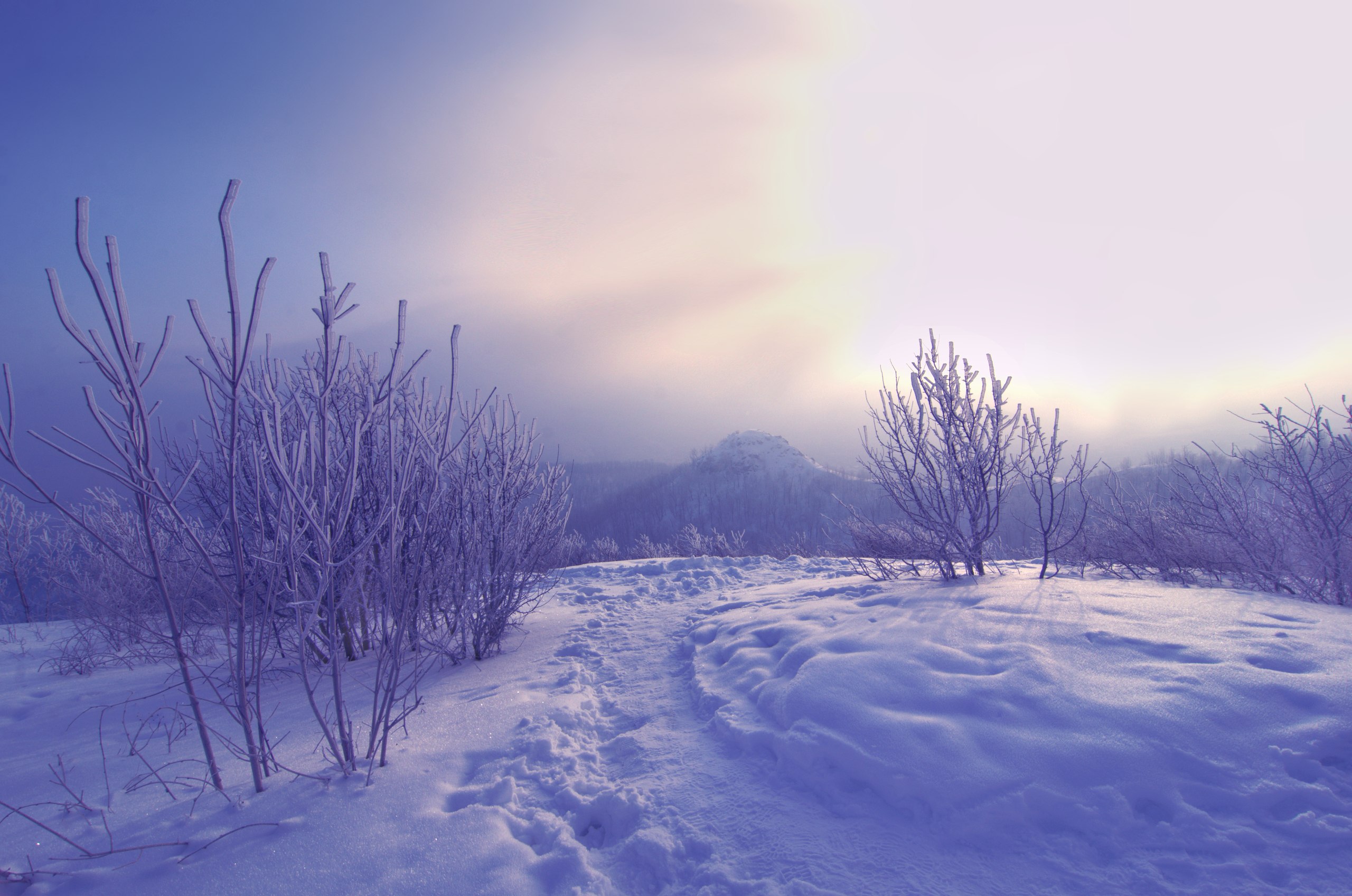 Самарская область отмечает 175-летие! Самарская область отмечает 175-летие!