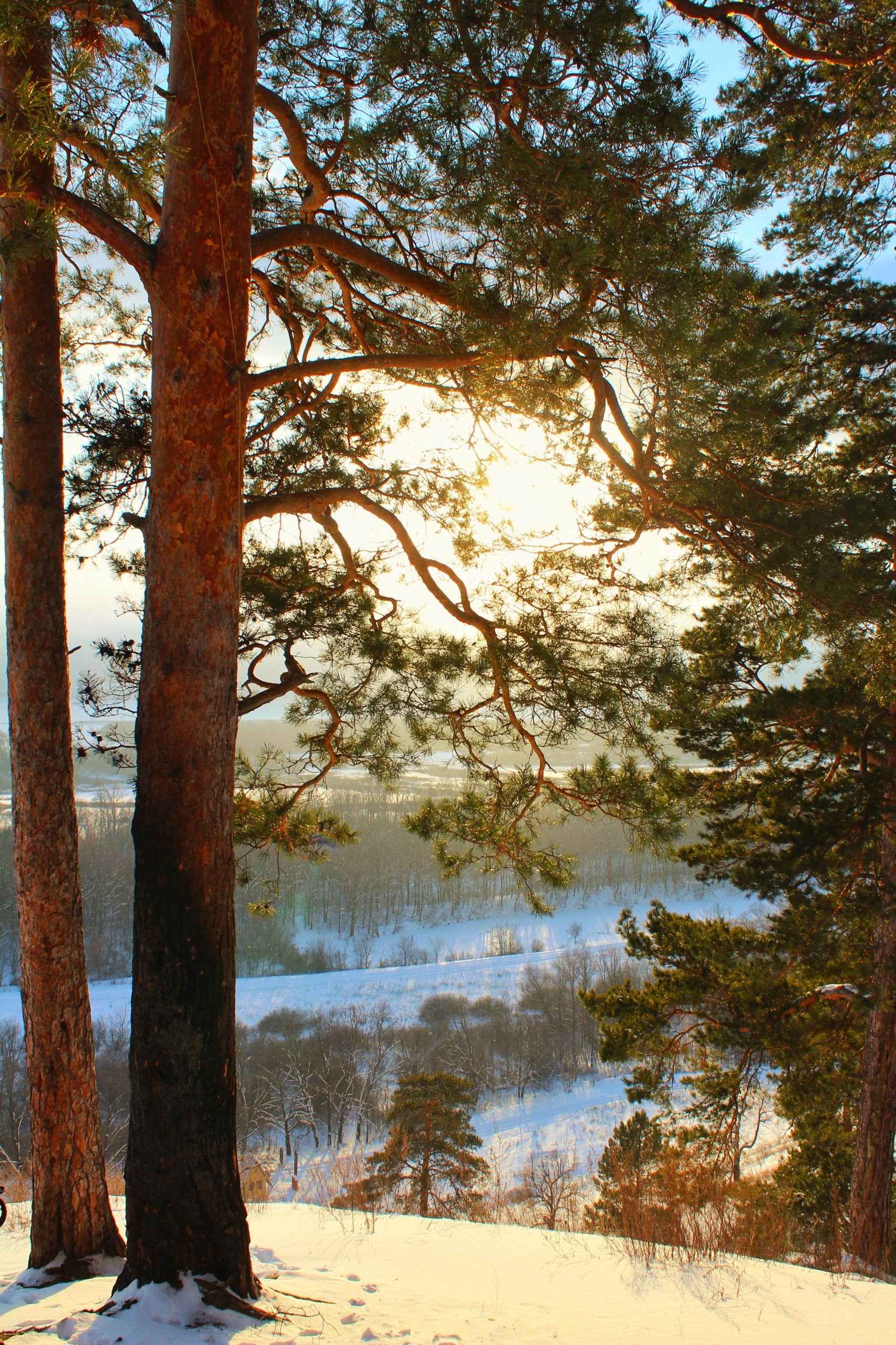 Самарская область отмечает 175-летие! Самарская область отмечает 175-летие!