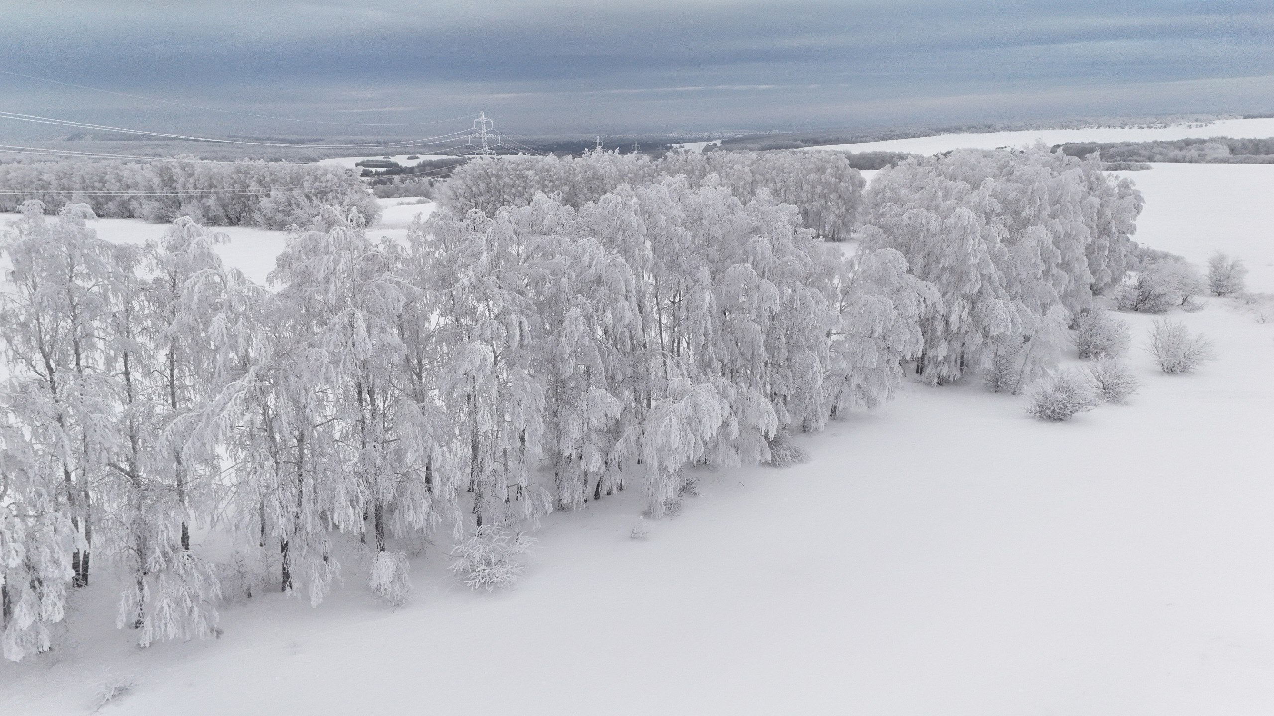 Самарская область отмечает 175-летие! Самарская область отмечает 175-летие!