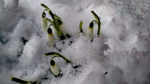 ���� ����� ����? ��������� ���� � 2026 ���� �������� �������