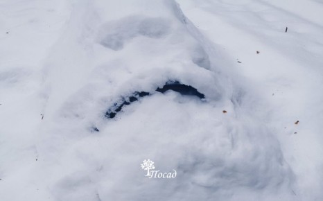 ������ ���������: ��� �������� ������ ���� ������������ ���������