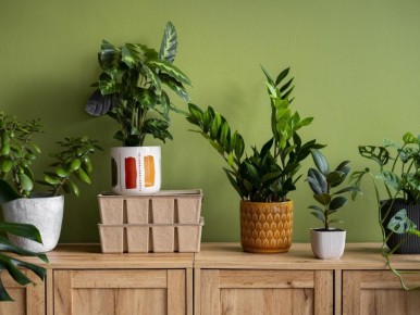 ���������� ��������: ��� �������� �������� � ����� �������