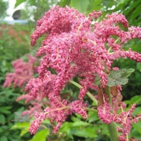 ��� ������� ������������ ������ � �������� ������ ������ ����