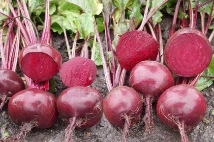 ������ ��������� ������� ���� ��������� ����������� � 2026 ����?