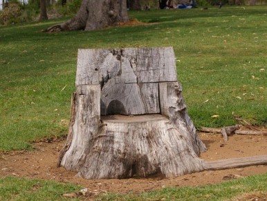 Сад против пня: лайфхак, который работает даже без лопаты и бензопилы