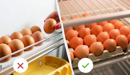 ������� ����������� �������� ���: ��� �� ��������� �����