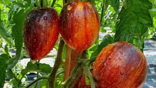 ������ �� 8000 ������: ��� ��������� ����� �������� � �����������