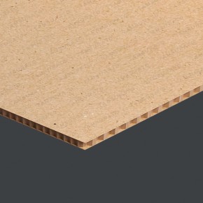 Какой материал для дверей выбрать? Преимущества сотового картона