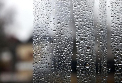 ��� ���������� �� ���������� �� �����: ������ ��������������