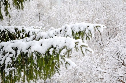 ����� � ������!. ��� � ������� ���������, � �������� ��������� �������� � ����� ������