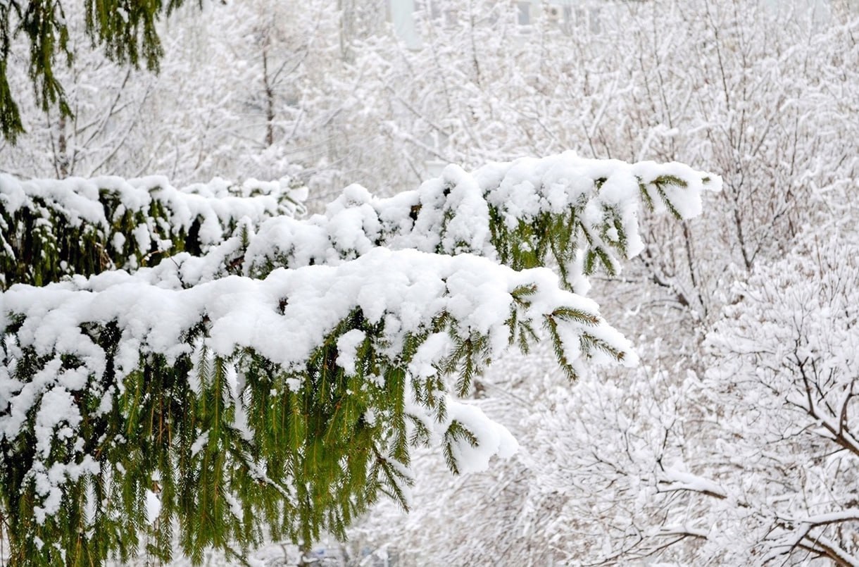Мороз и солнце!. Как и обещали синоптики, в Поволжье наступила морозная и ясная погода