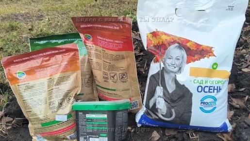 ����������� ���������: ��� ���������� ���������� ������ �������