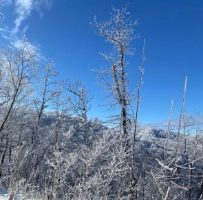 ��� � ��� �� �����? �����! ���� �� ����� �������� �������� ����������