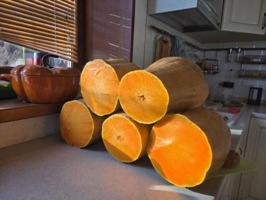 �� ������ ������ ���� ������!