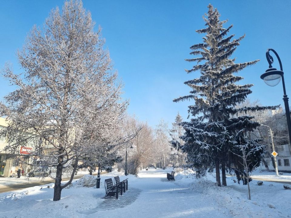 ������ ����, ��������!. �� ��������� 25 ������