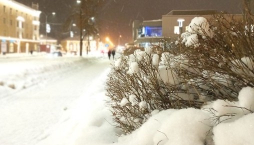 ������� ��������� ������� ���������� ������� �������