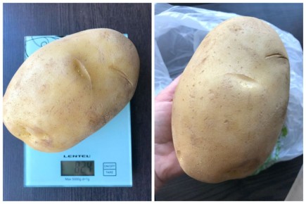 ���������, ������������� �������: ������� ����������� ������