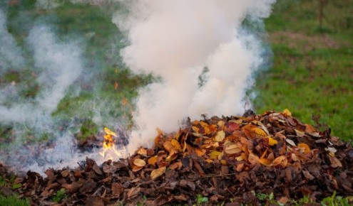 ������ ����� ��������� ������� ������ ��� ������ ����