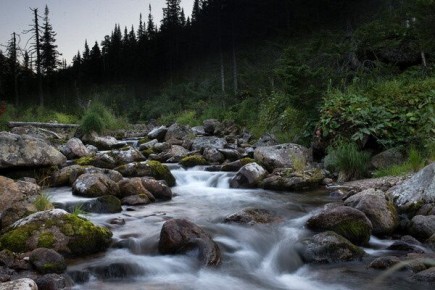 �������� ��������� ��������� ������������, �������� ������������