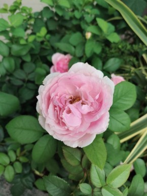 ��� ������ ���� �� ����: ��������� ������ �� ������ ������� ������