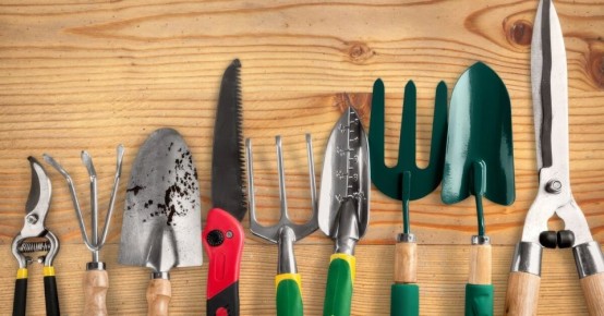 ��������� ������ �������: ��� ����� ��������