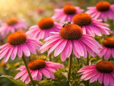 ������ ����� � ������ ����� �������� ����� ������ ��������