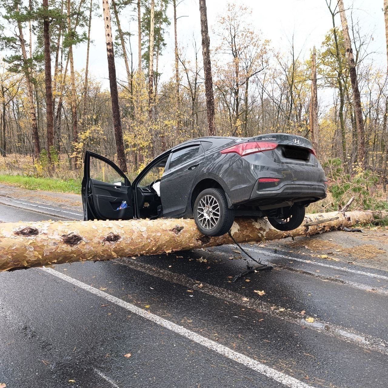 Тысячи спасенных жизней: Службе спасения Тольятти 26 лет Тысячи спасенных жизней: Службе спасения Тольятти 26 лет