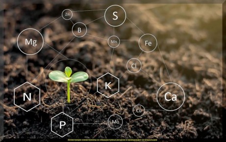 ��� ������ ������� �������� � ���� � ������� � ������� ���������