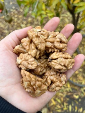 ������� ����� ����� 50: ��� ��� �������� ������, ����� � ����������