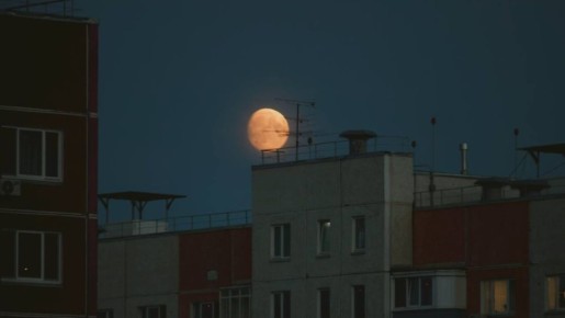 ��� ���������� ������ � ��������� ������: ��� ���� �� ����� �� ������