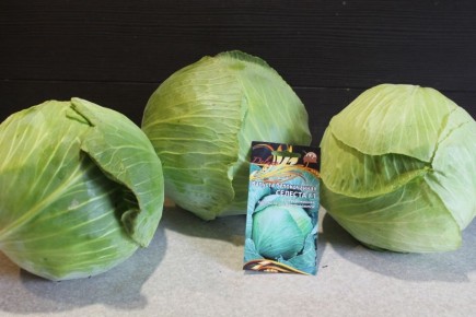 ������� ������� F1: ������?�������� � ������, ������� ������ ���������