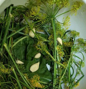 �������� ����� ����� ������� ������� � �������� ������, ����������� �������������