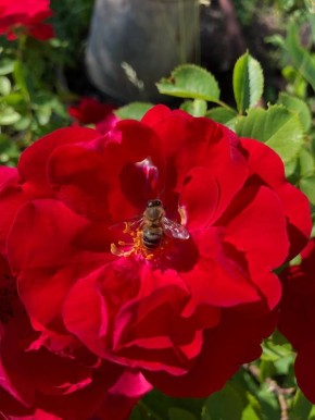 ���� � ��������� ������� 14 ������� ����� �������� ���� ���������